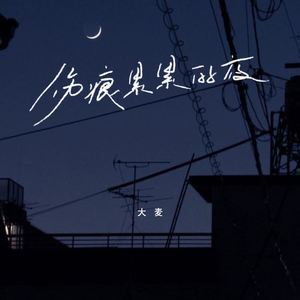 伤痕累累的夜 (Dj浩然版)