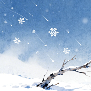 逆向雪花难同枝