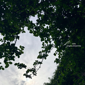 angelic/dreamlike (feat. 初音ミク & 歌愛ユキ)