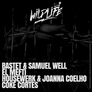 Coketamina (Original Mix)