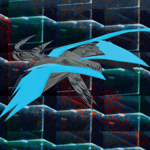 Basic Vox (feat. Hard Ton)