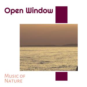 The Beauty of Deserts