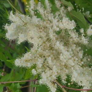 孤独的我们 (Remaster)