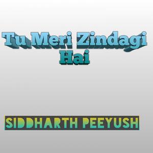 Tu Meri Zindagi Hai