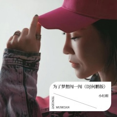 为了梦想闯一闯 (DJ何鹏版)