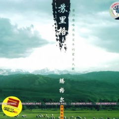 八月的鲜花