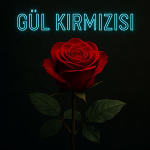 Gül Kırmızısı