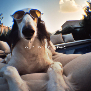 Lovely Chilled Rooms