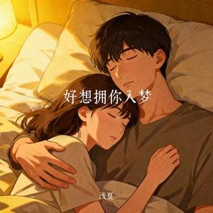 好想拥你入梦