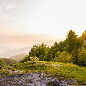 걱정에서 기대로 : 명상 뉴에이지
