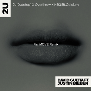 David Guetta-2U (feat. Justin Bieber){FISHMOVE xxx Remix（FishMOVE remix）