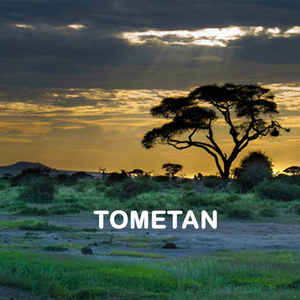Tometan