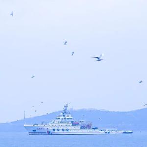 奔赴星空（抖音纯享版）