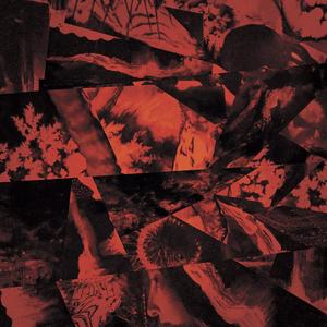 Hunt (Root Out The Source) (Xiphoid Dementia Remix)