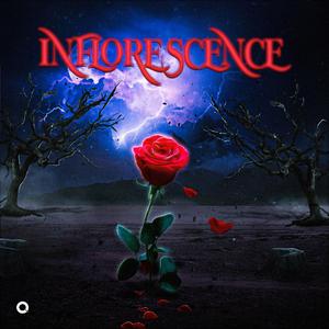Infloresence