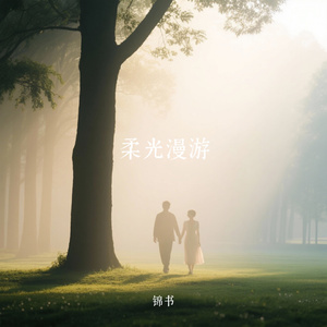 柔光漫游