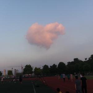 满是相逢（致荆大）