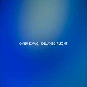 Delayed Flight
