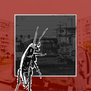 Комахи