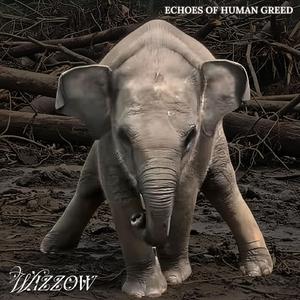 Echoes of Human Greed
