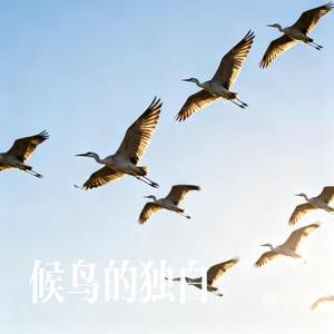 候鸟的独白