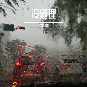 没道理雨下这么大