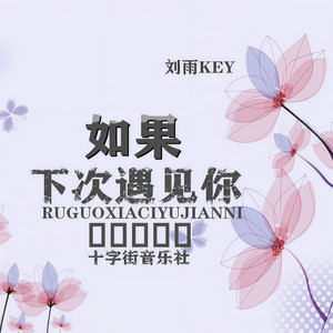 如果下次遇见你