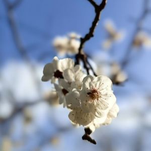 致～那个女孩儿