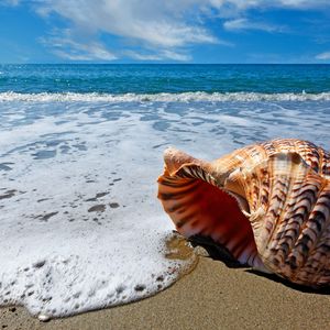 钢琴白噪音里的入眠之约