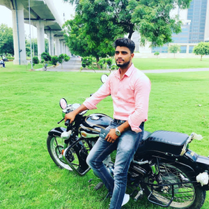 जाटव जाति के शेर 2