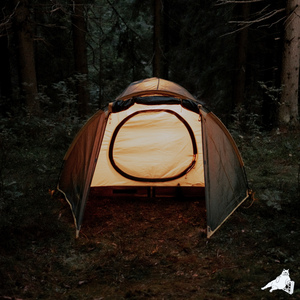 Forest Dreams
