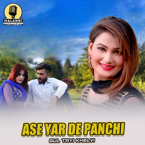 Ase Yar De Panchi (1)
