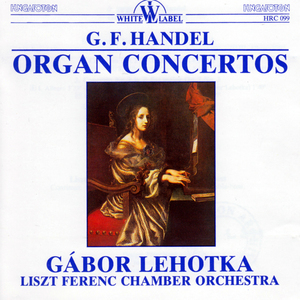 Organ Concerto No. 9 in B-Flat Major, Op. 7, No. 3, HWV 308:II. Organo ad libitum: (preludio e allegro in G Minor)