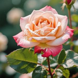 你不必是一朵花 (Cover J.H.H)