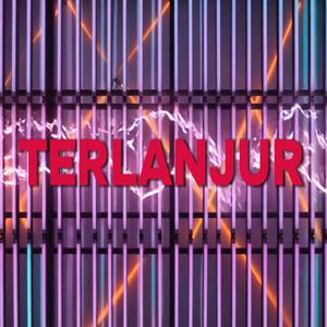 Terlanjur