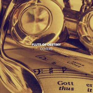 Zelda`s Lullaby (Instrumental Flute)