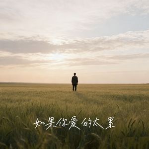 如果你爱的太累