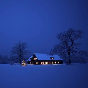 我们在星空下做着梦