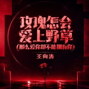 玫瑰怎会爱上野草(那么爱你却不能拥有你)
