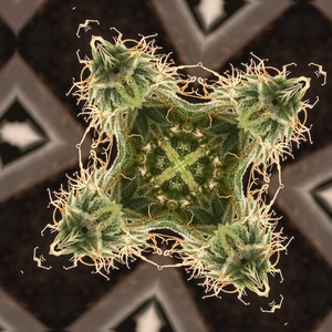 And welcome all its twists and charms