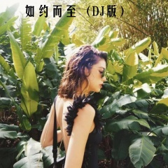 你会不会请我喝瓶山城啤酒 (Remix)