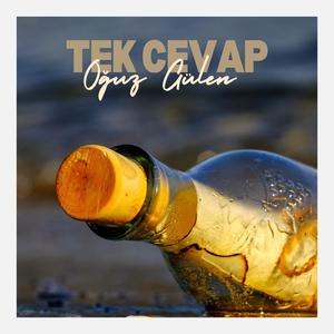 Tek Cevap