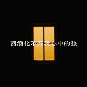 烈酒化不开我心中的愁