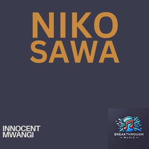 Niko Sawa