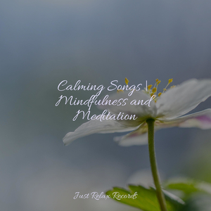 Sea's Slumbering Melody