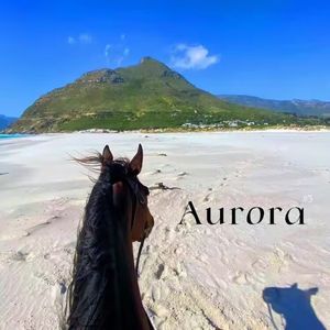 Various Artists Lotta Lovin (Hasukio Remix)