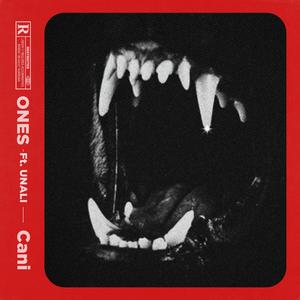 Cani (feat. Unali)