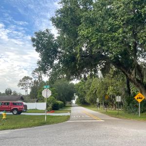 BUILD A BITCH DARIAFEST MIX (feat. Kaydence May)