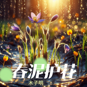 春泥护花 伴奏