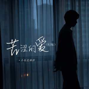 苦涩的爱 (Dj版)